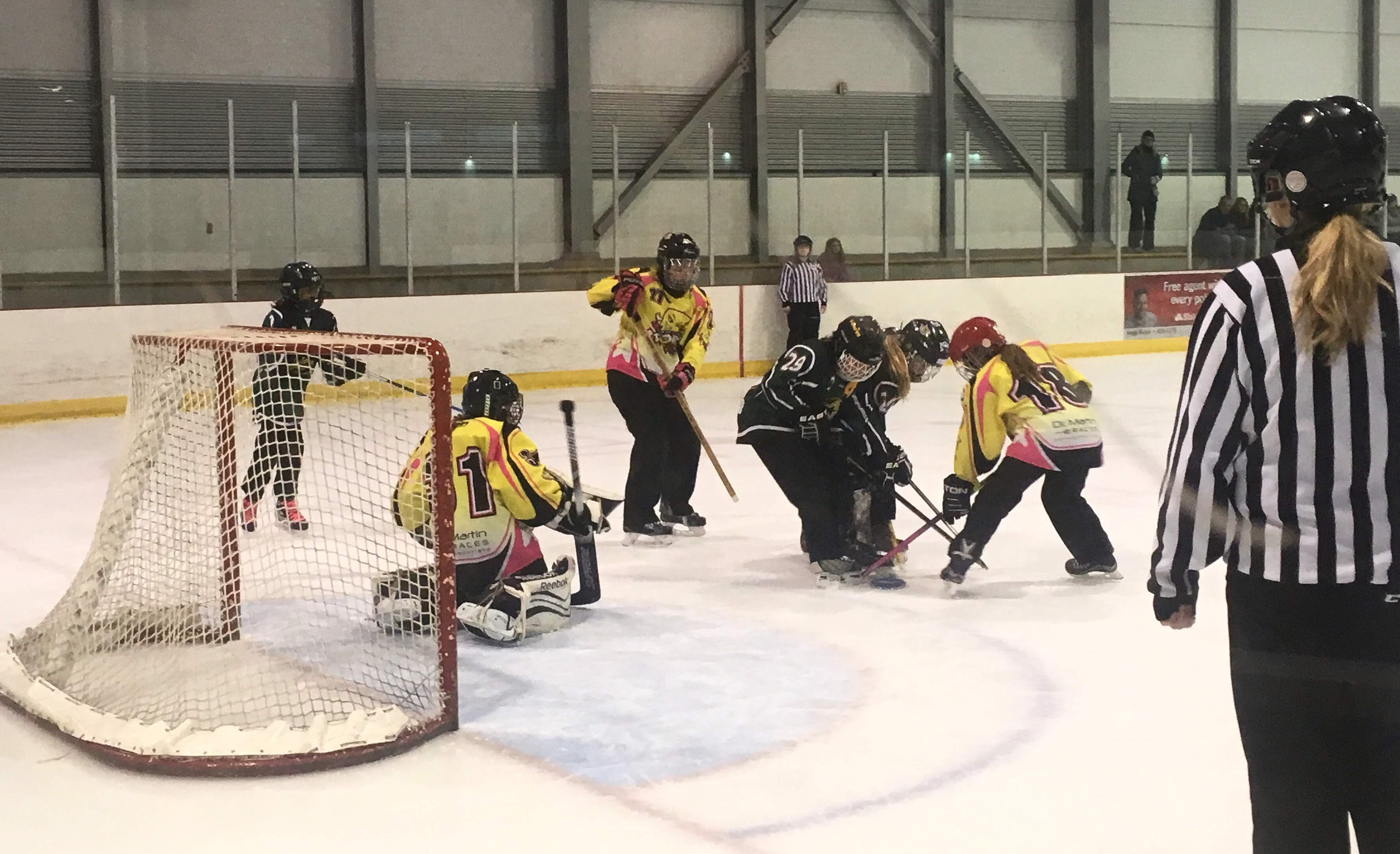 Fredericton Ringette site by RAMP InterActive